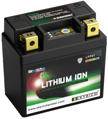 Skyrich lifepo4 batterij lfp01 battery lfp01-i lithium