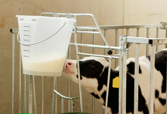 Producten kalveremmer kunststof afgeplat kaal wit transparant