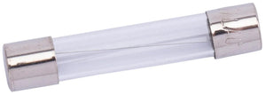 Spahn glaszekering glass fuses 10a 6x32 mm (10pcs)