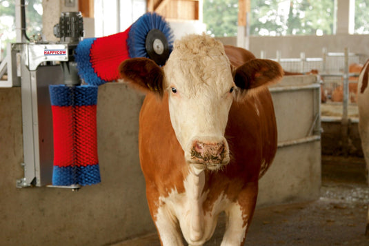 Producten happycow koeborstel duo
