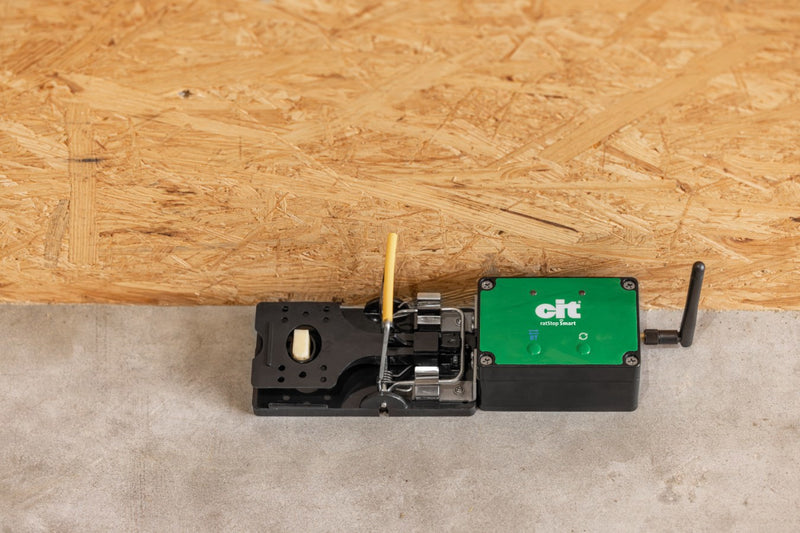 Load image into Gallery viewer, Producten rattenval smart cit ratstop
