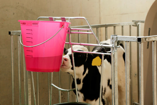 Producten kalveremmer kunststof afgeplat kaal roze transparant