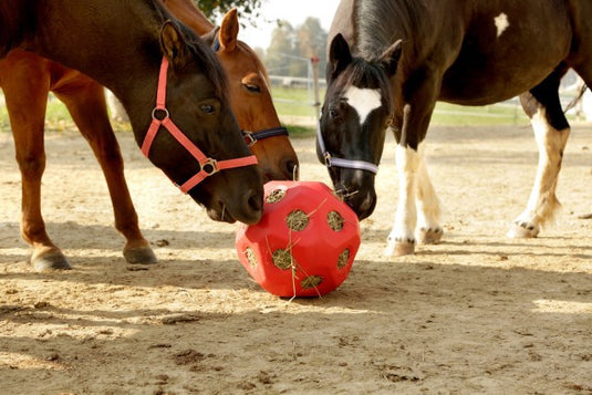 Voederspeel bal rood