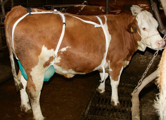 Producten uiernet compleet