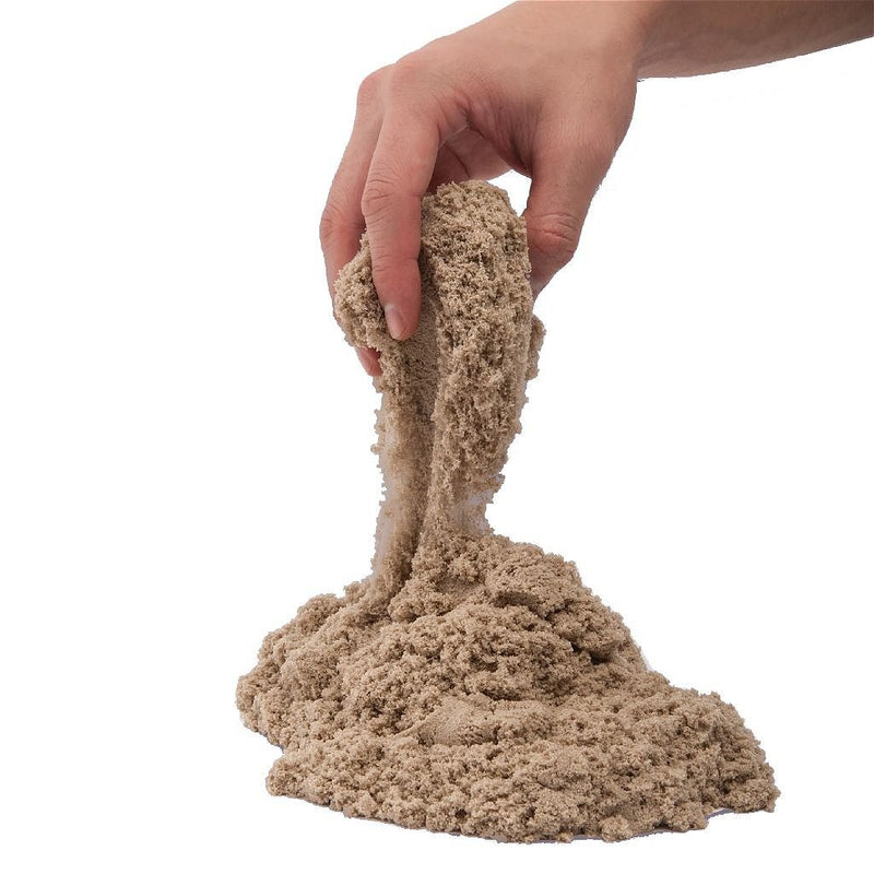 Load image into Gallery viewer, Spin Master Kinetic Sand Bruin
