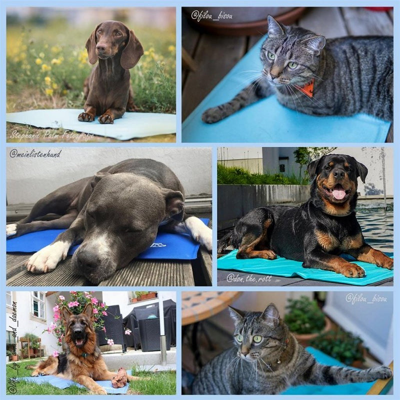 Load image into Gallery viewer, Nosli zelfkoelende koelmat voor honden en katten 76x103 cm zeeblauw
