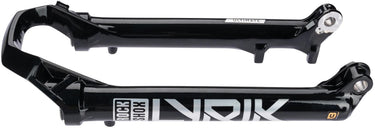 Rockshox tauchrohr sliders rs 29 15 x 110 boost f.lyrik gl.black