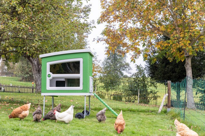 Load image into Gallery viewer, Abi mobilecoop kunststof kippenhok
