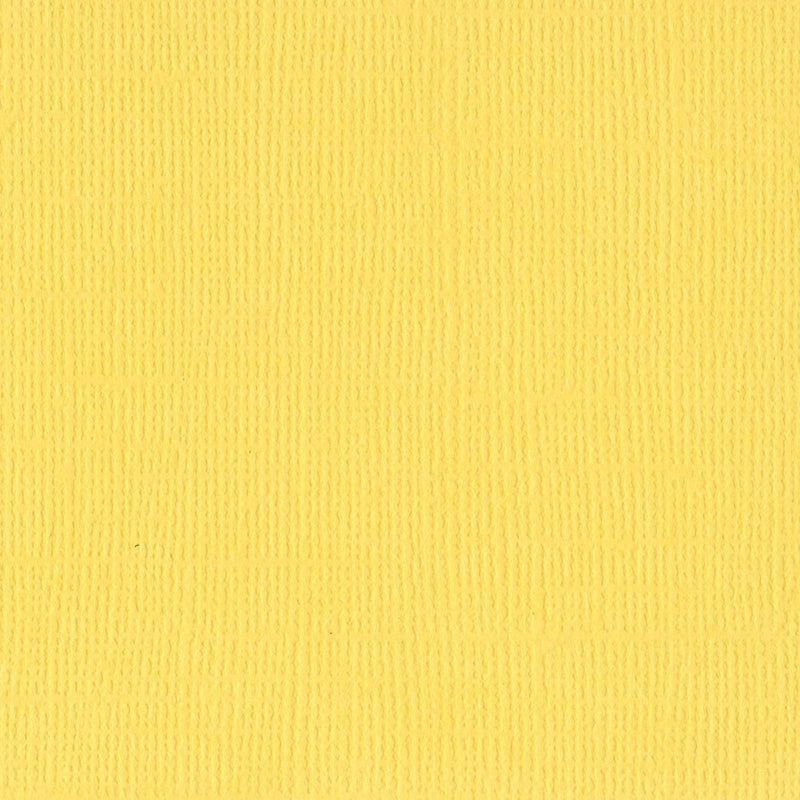 Load image into Gallery viewer, Bazzill • mono canvas 30,5x30,5cm sunbeam
