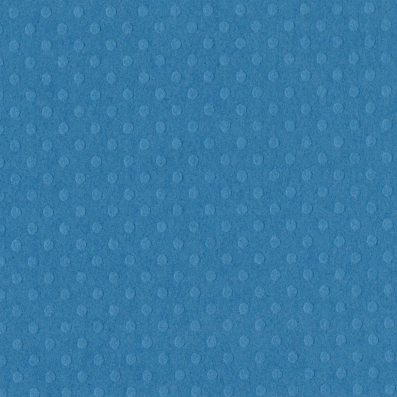 Load image into Gallery viewer, Bazzill • dot swiss 30,5x30,5cm surfs up
