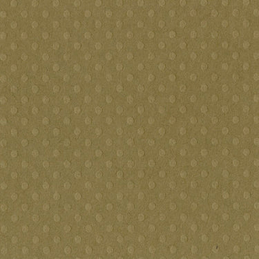 Bazzill • dot swiss 30,5x30,5cm mud puddle