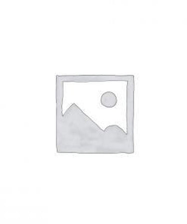 Victorinox zakmes swisschamp silvertech 31 functies