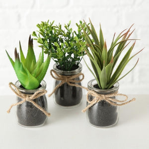 Boltze home sukkulente in pot ø10x17cm kunstplant in glazen potje