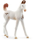 Schleich horse club - marwari veulen - 14896
