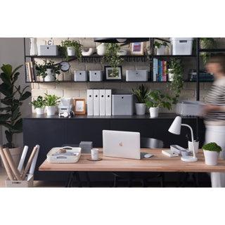 Load image into Gallery viewer, Curver infinity deksel 11-17l wit | 2 stuks
