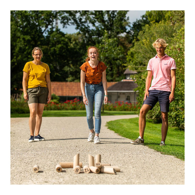 Load image into Gallery viewer, Outdoor play wood throw game
