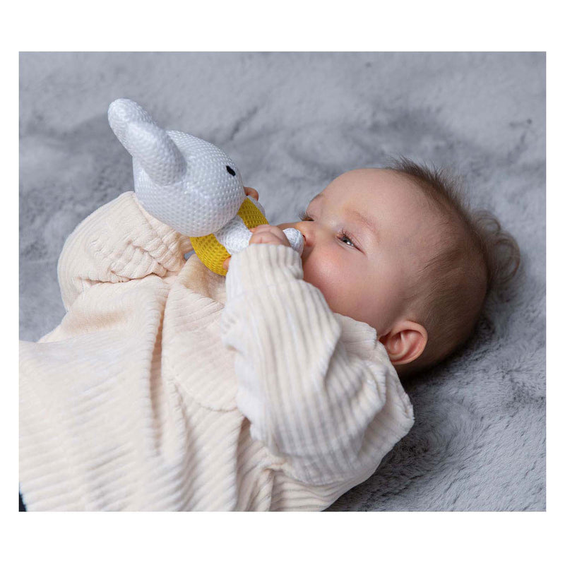 Load image into Gallery viewer, Rubo toys nijntje stoffen badfiguur 15 cm

