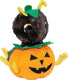 Lumo stars lumo ant antiboo - classic - 15cm