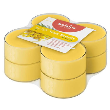 Bolsius geur maxi 8hr pck8 mimosa