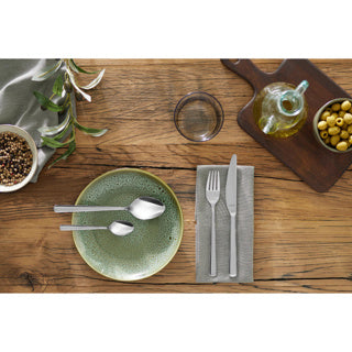 Load image into Gallery viewer, Amefa bestekset 24dlg phoenix recycled
