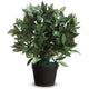 Kunstplant paperflow le laurel 50 cm