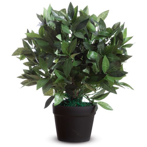 Kunstplant paperflow le laurel 50 cm