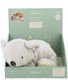 Kaloo petit songe - zware koala