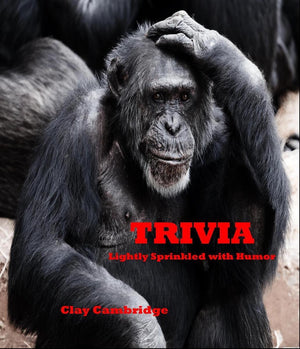 Trivia lightly sprinkled with humor