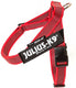 Julius k9 julius-k9 idc®color gray® riemtuig, l - maat 1, rood