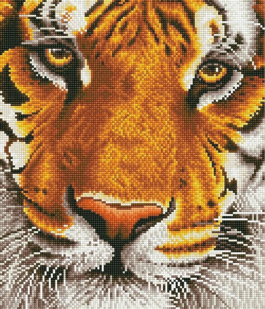 Diamond dotz® diamond dotz bengal magic - diamond painting - 18.250 dotz - 42x36 cm