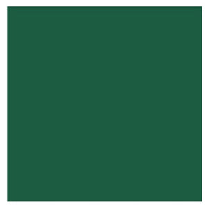 Duni servetten 33x33cm dark green 3-laags tissue fsc pak a 20 servetten