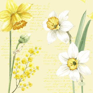 Duni servetten spring daffodil 20 stuks 33 x 33 cm | 12 stuks