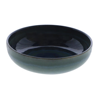 Load image into Gallery viewer, Palmer miami schaal ø16 cm green | 6 stuks
