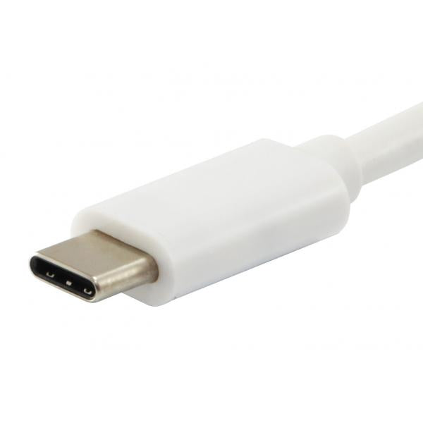 Load image into Gallery viewer, Equip 133462 usb type c to vga female usb a female pd adapter, 1080p, 15cm, white
