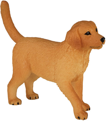 Mojo farmland golden retriever puppy - 387205