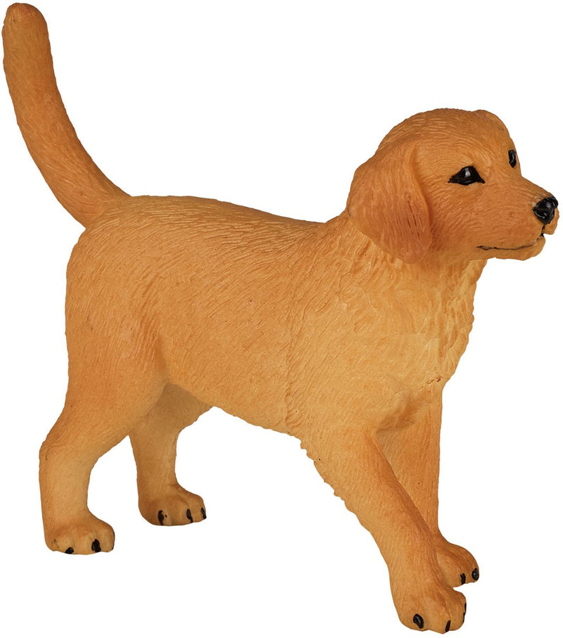 Afbeelding laden in galerijviewer, Mojo farmland golden retriever puppy - 387205
