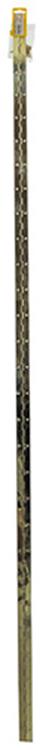 1013334 - 1 piano scharnier vermessingd l 150 cm x 32 mm | 10 stuks