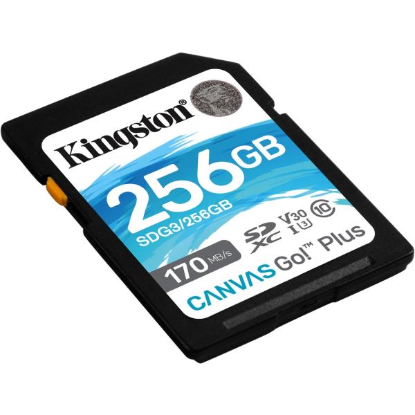 Load image into Gallery viewer, Kingston Canvas Go! Plus SDXC 256 GB

