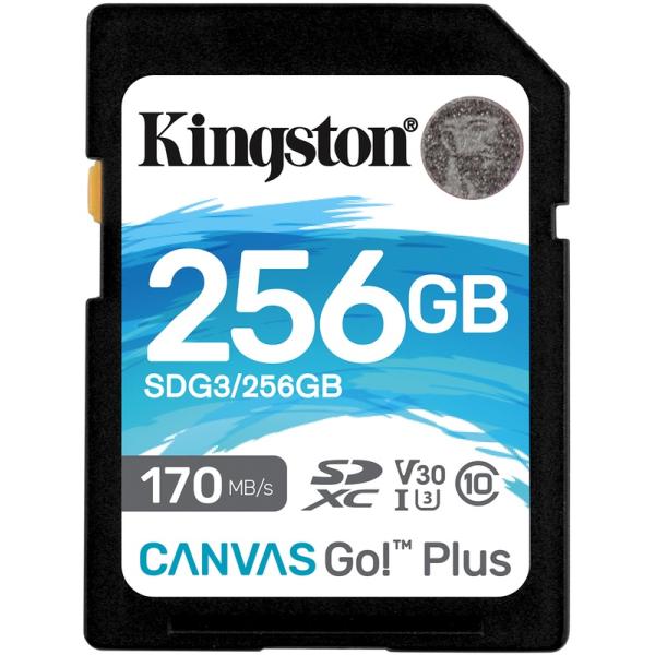Load image into Gallery viewer, Kingston Canvas Go! Plus SDXC 256 GB
