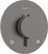 Hansgrohe ecostat comfort s - inbouwthermostaat - 2 functies - douche thermostaat - zekerheidscombinatie en1717 - brushed black chrome