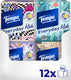 Tempo tissues - everyday kids cube - 12 x 64 stuks = 768 zakdoekjes