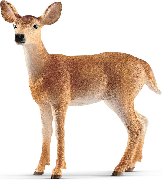 Schleich wild life - witstaarthertenkoe - 14819