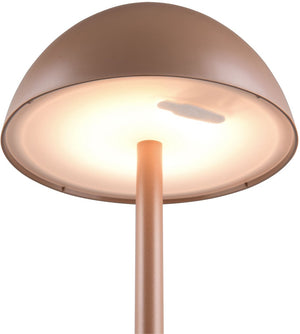 Rl live your light reality ricardo - tafellamp - mokka - incl. 1x smd 1,7 w - 4-stappen touch - usb-aansluiting - verlichting omhoog en omlaag - oplaadbaar - snoerloos - buitenverlichting - ip54