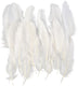 Creativ company cc ganzenveren 15 cm wit 70 stuks