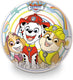 Paw patrol mondo decorbal , 22cm