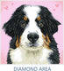 Diamond dotz® diamond dotz dog zuzu - diamond painting - 11.664 dotz - 29x29 cm
