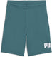 Puma ess no. 1 logo shorts tr b unisex broek - emerald ice