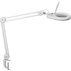 Loeplamp maul maulviso led
