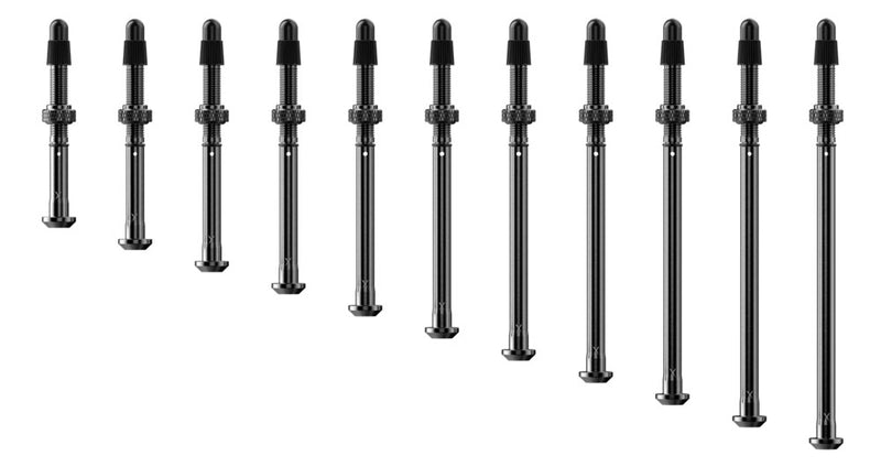Load image into Gallery viewer, Quarq tyrewiz 2.0 tyre pressure valves 2 pieces | length g
