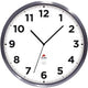 Wandklok voor buiten alba horextra analoog zilver wit